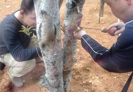 ���⣺����԰��������