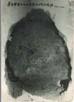 ���⣺���ϳ�